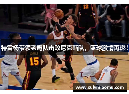 特雷杨带领老鹰队击败尼克斯队，篮球激情再燃！
