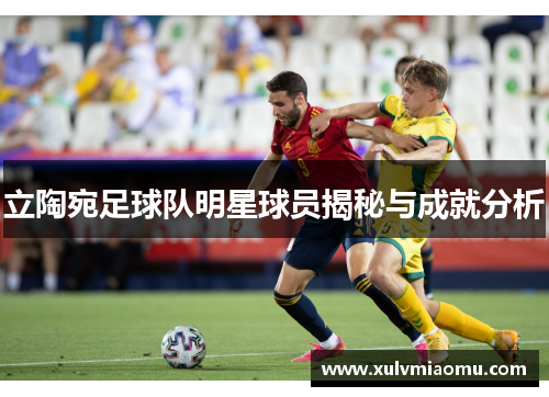 立陶宛足球队明星球员揭秘与成就分析