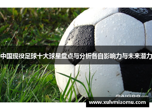 中国现役足球十大球星盘点与分析各自影响力与未来潜力