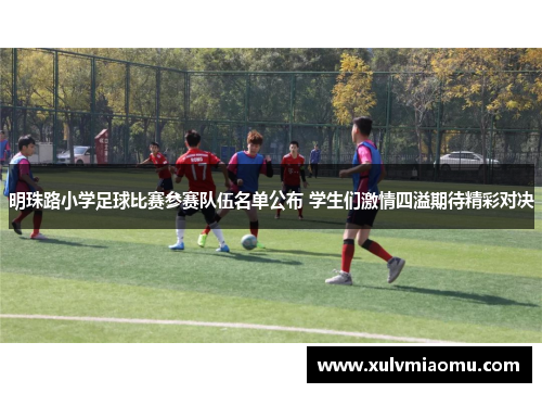 明珠路小学足球比赛参赛队伍名单公布 学生们激情四溢期待精彩对决