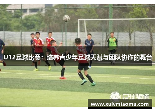 U12足球比赛：培养青少年足球天赋与团队协作的舞台
